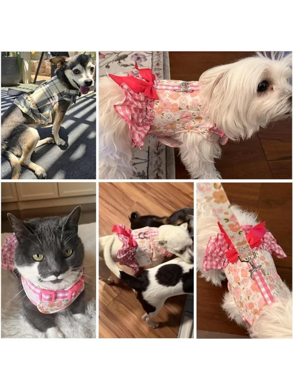 Cute Small Dog Harness & Leash Set - Adorable Dress Style for Girls
